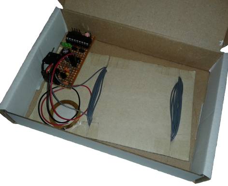 The entire metal detector in a box